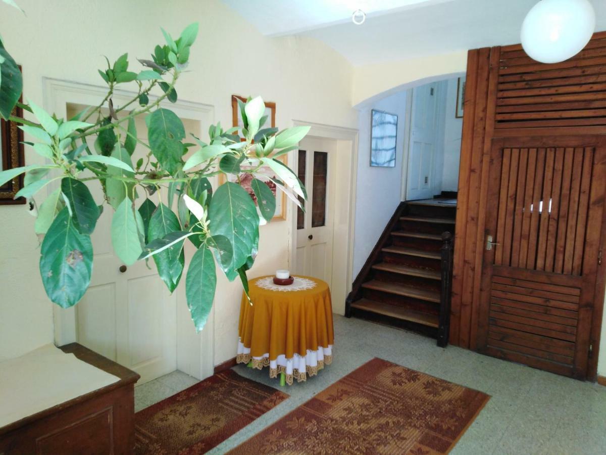 Apartments Banko Μπλεντ Εξωτερικό φωτογραφία